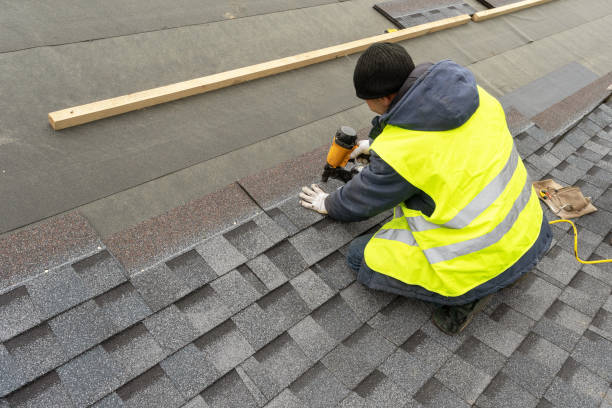 Best Roof Gutter Cleaning  in Langdon, ND