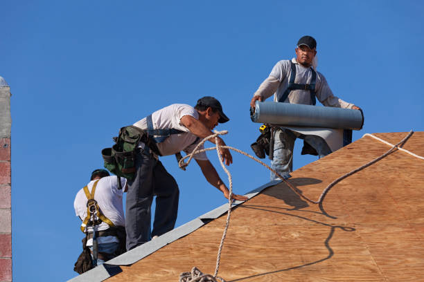 Best Storm Damage Roof Repair  in Langdon, ND