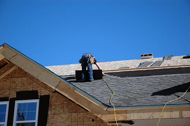 Best Flat Roof Repair Services  in Langdon, ND