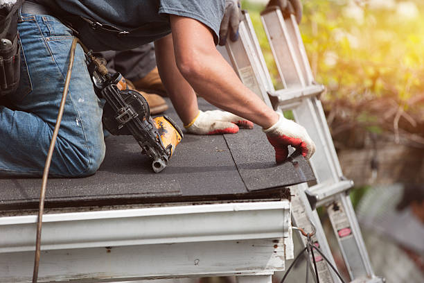 Best Roof Leak Repair  in Langdon, ND