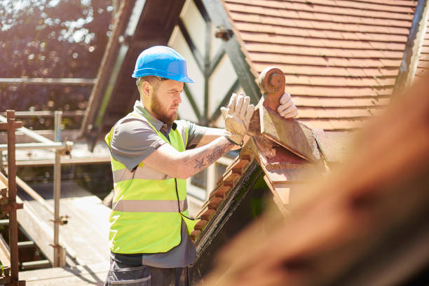 Best Roof Repair Services  in Langdon, ND