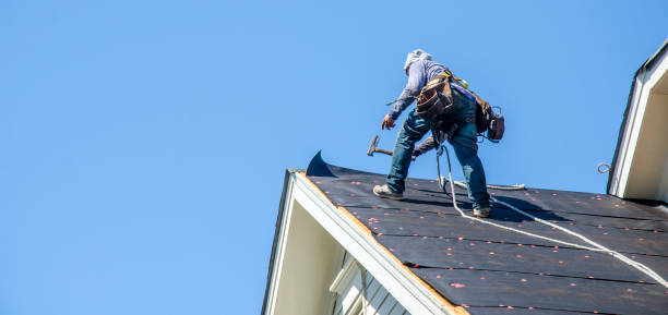Best Gutter Installation and Roofing  in Langdon, ND