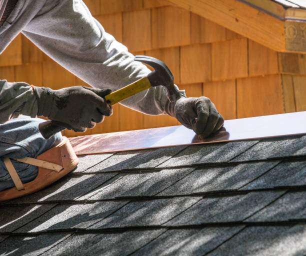 Professional Roofing Contractor in Langdon, ND